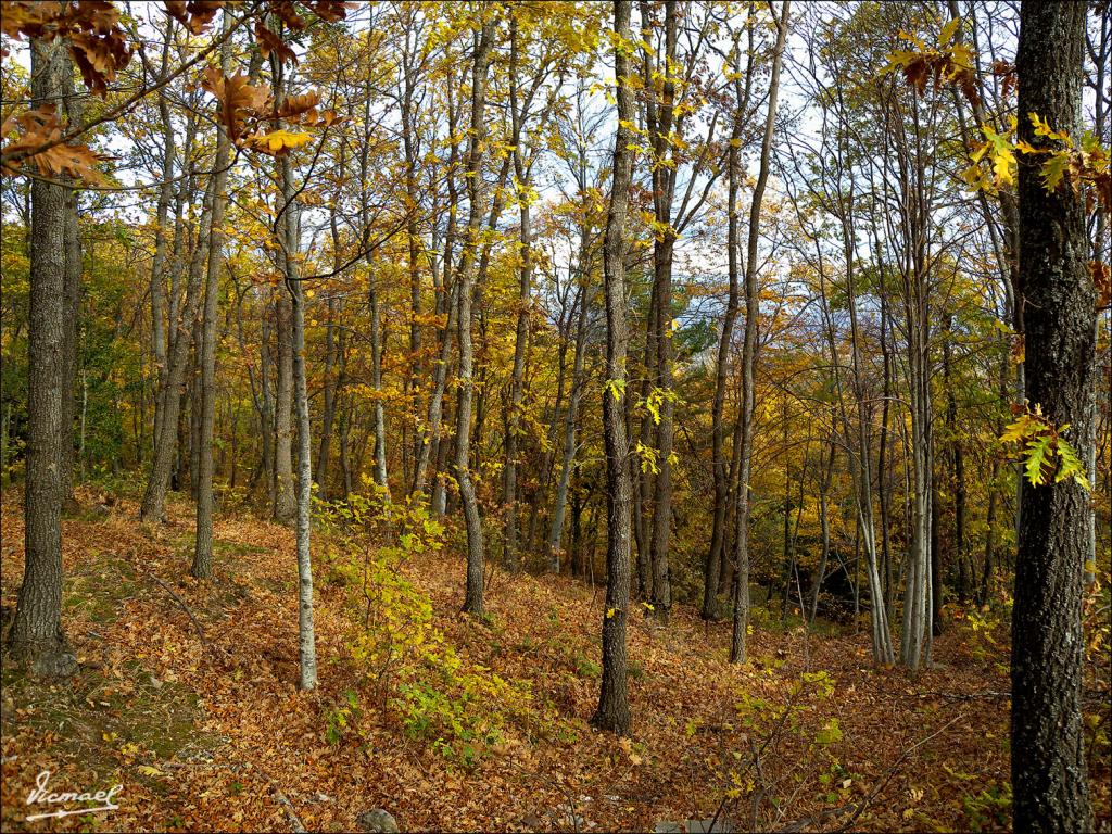 Foto de San Martin de la Virgen de Moncayo (Zaragoza), España