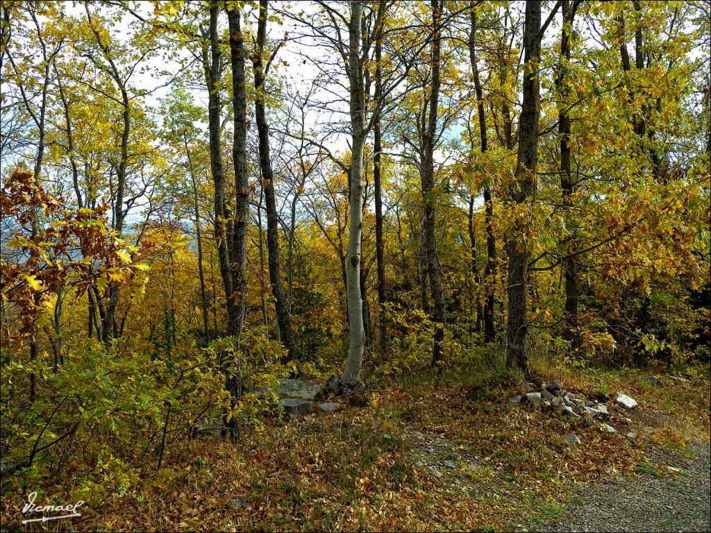 Foto de San Martin de la Virgen de Moncayo (Zaragoza), España