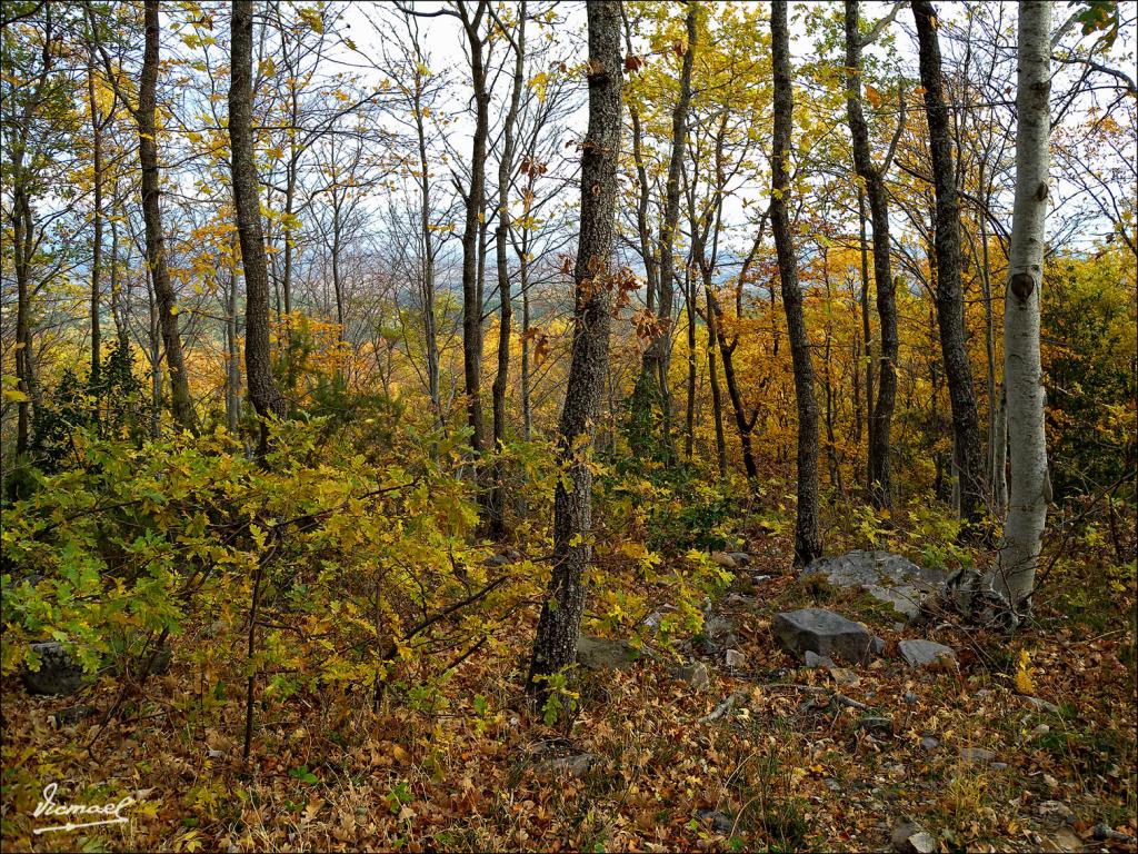 Foto de San Martin de la Virgen de Moncayo (Zaragoza), España