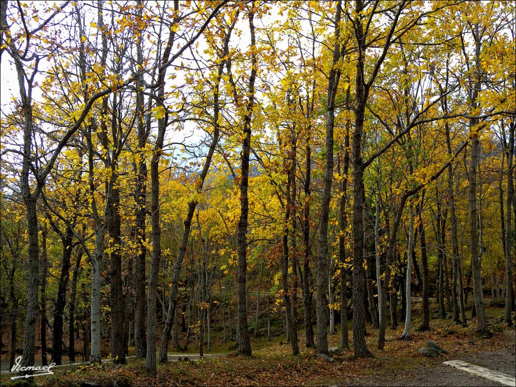 Foto de San Martin de la Virgen de Moncayo (Zaragoza), España