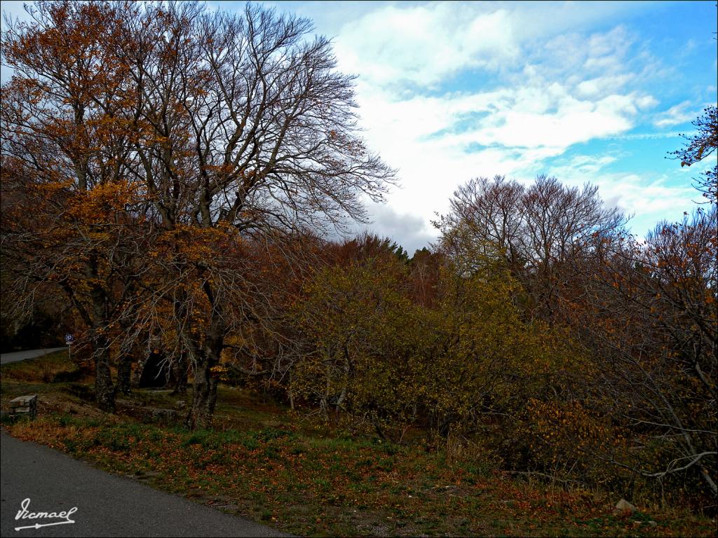 Foto de San Martin de la Virgen de Moncayo (Zaragoza), España