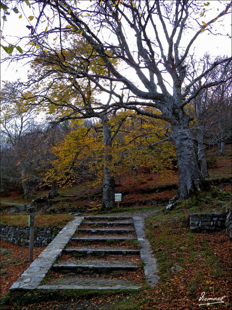Foto de San Martin de la Virgen de Moncayo (Zaragoza), España