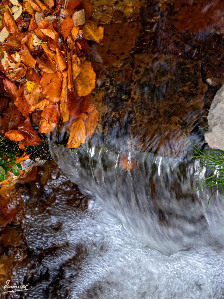 Foto de San Martin de la Virgen de Moncayo (Zaragoza), España