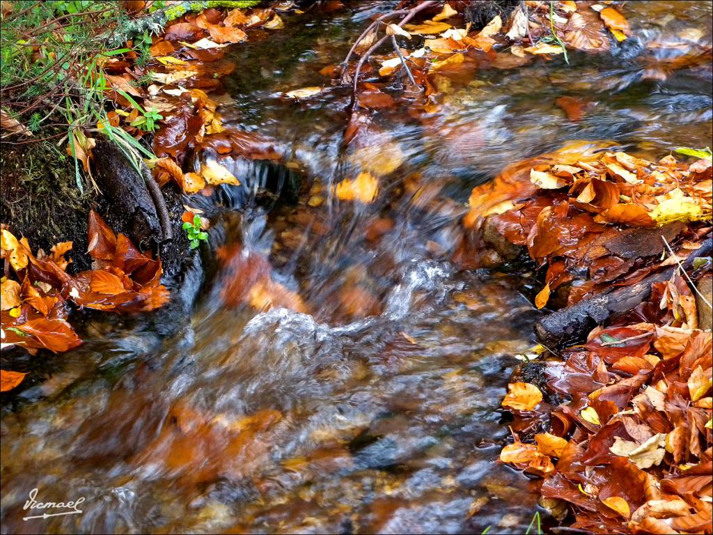 Foto de San Martin de la Virgen de Moncayo (Zaragoza), España