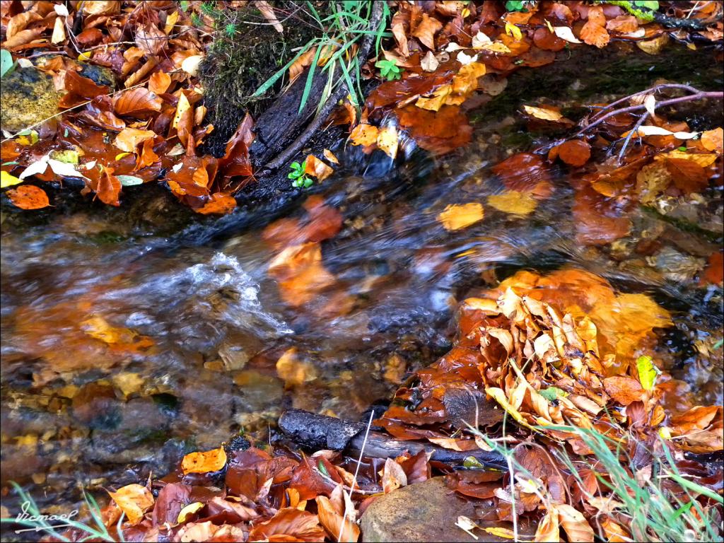 Foto de San Martin de la Virgen de Moncayo (Zaragoza), España