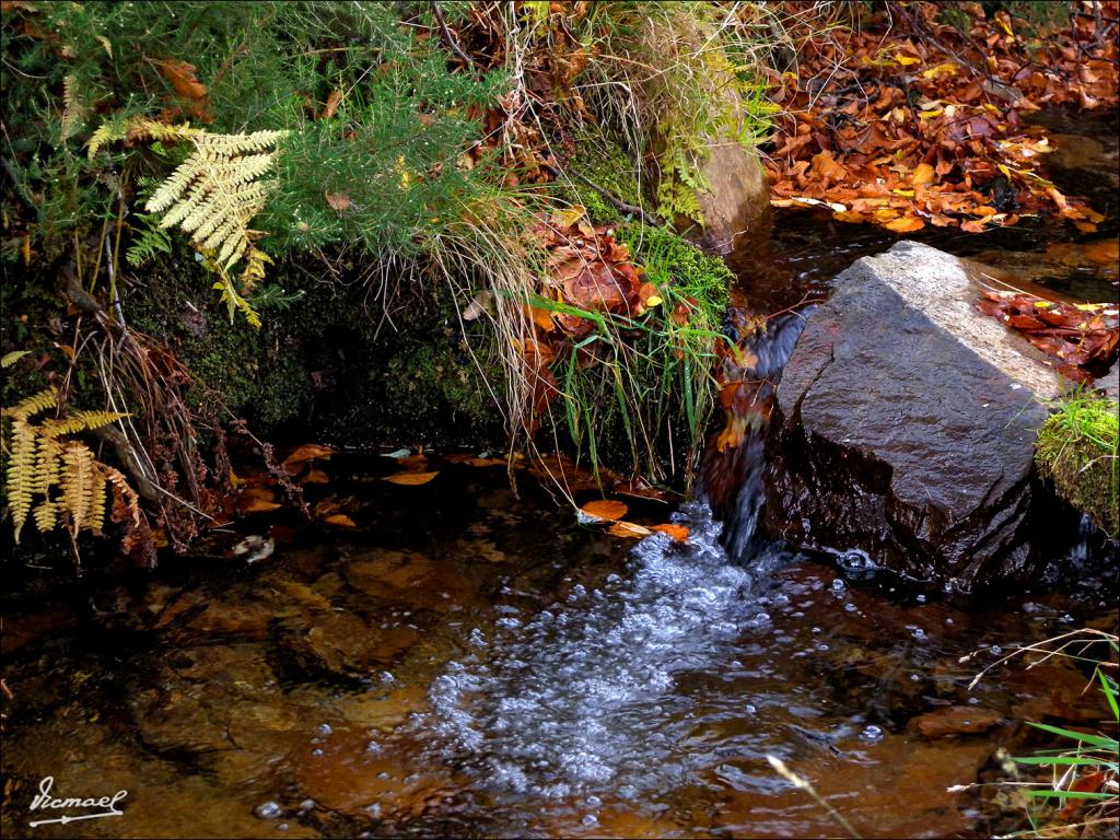 Foto de San Martin de la Virgen de Moncayo (Zaragoza), España