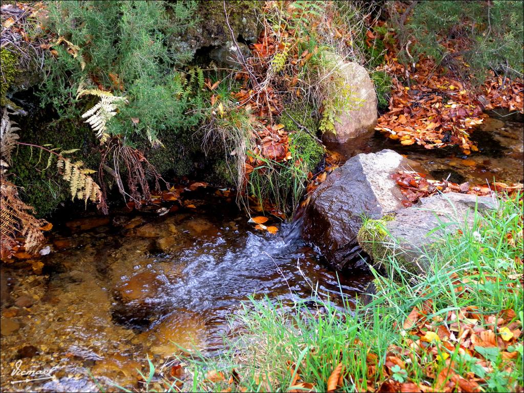 Foto de San Martin de la Virgen de Moncayo (Zaragoza), España