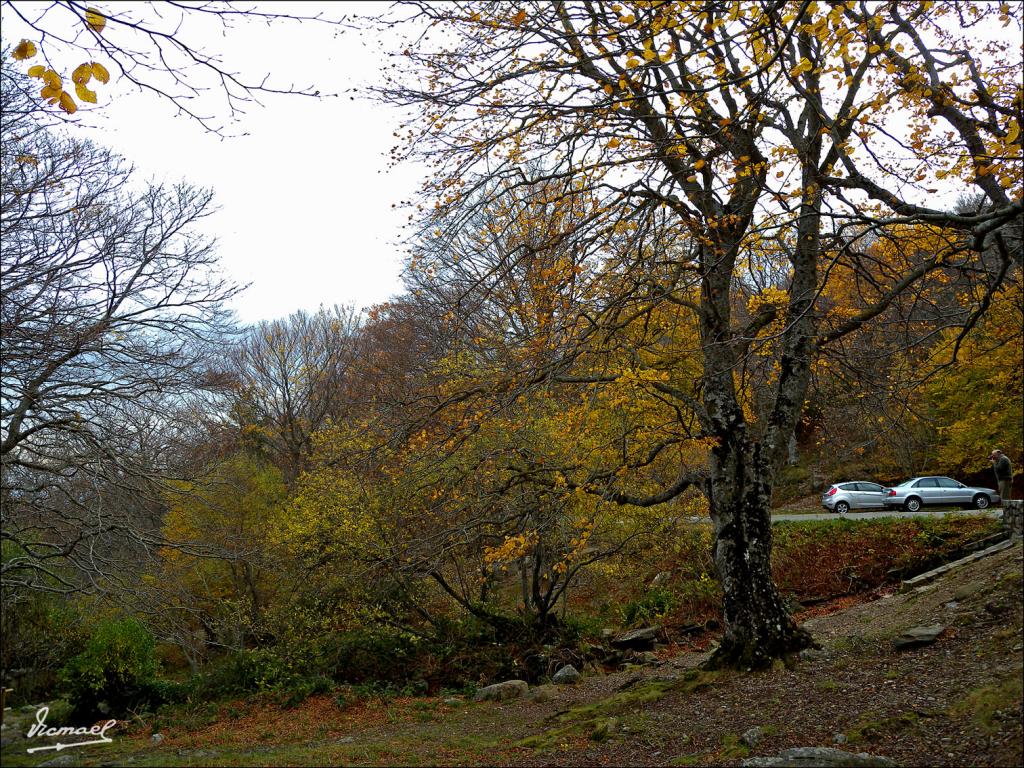 Foto de San Martin de la Virgen de Moncayo (Zaragoza), España
