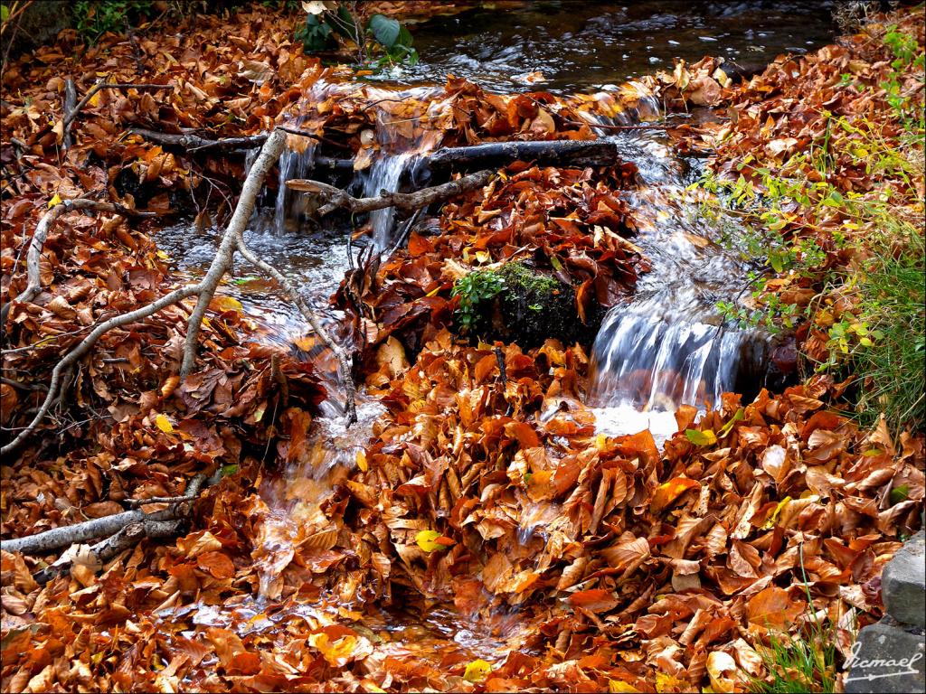 Foto de San Martin de la Virgen de Moncayo (Zaragoza), España