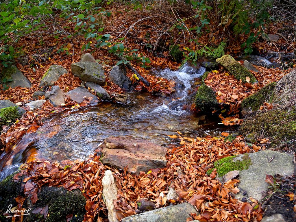 Foto de San Martin de la Virgen de Moncayo (Zaragoza), España