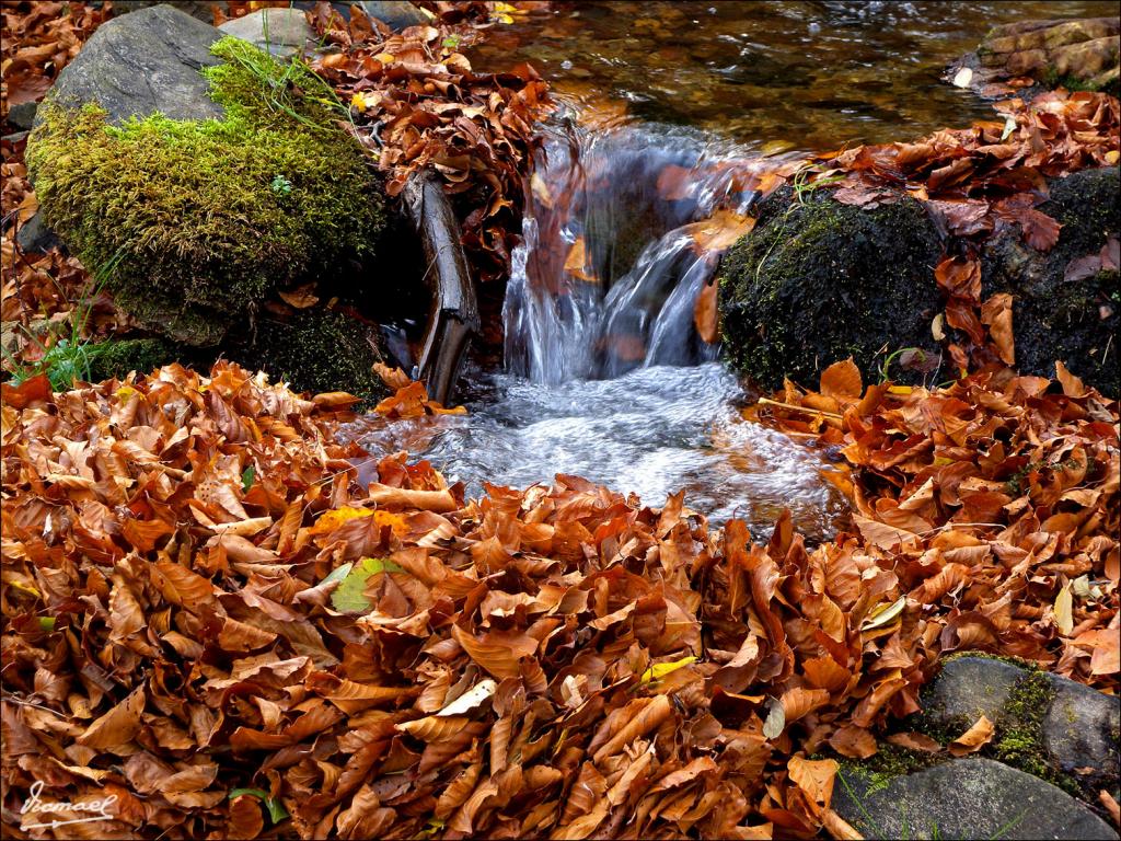 Foto de San Martin de la Virgen de Moncayo (Zaragoza), España
