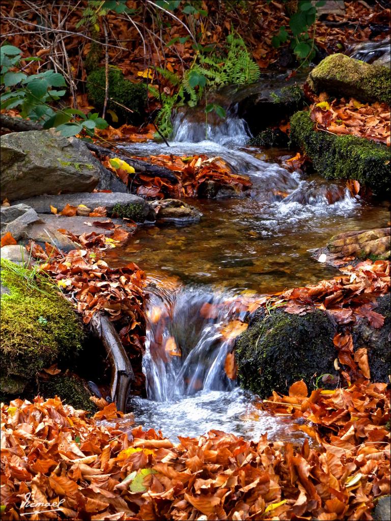 Foto de San Martin de la Virgen de Moncayo (Zaragoza), España