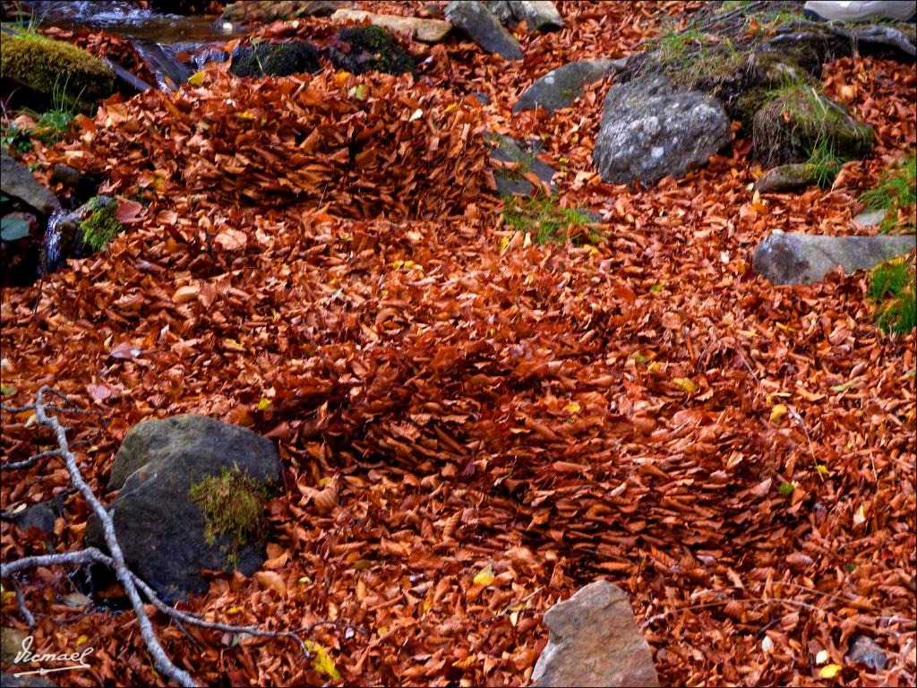 Foto de San Martin de la Virgen de Moncayo (Zaragoza), España