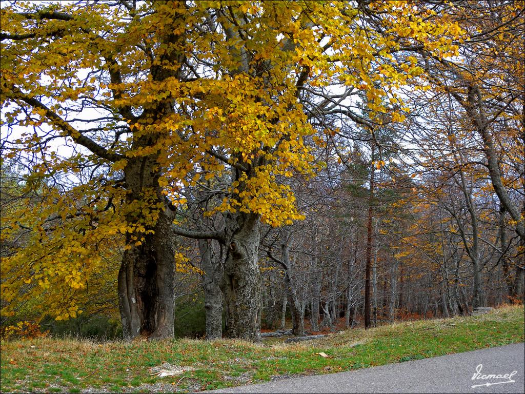 Foto de San Martin de la Virgen de Moncayo (Zaragoza), España