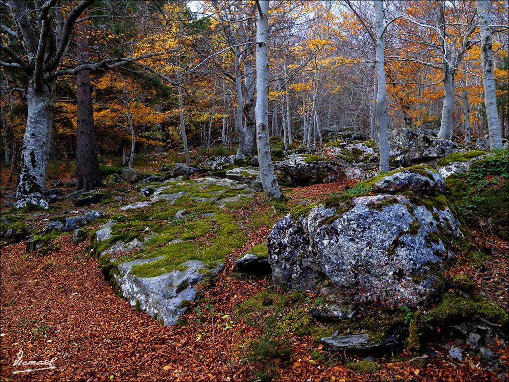 Foto de San Martin de la Virgen de Moncayo (Zaragoza), España