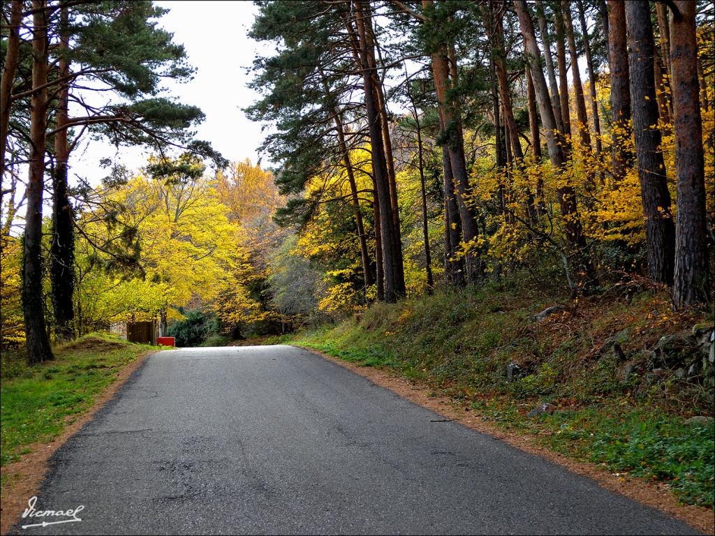 Foto de San Martin de la Virgen de Moncayo (Zaragoza), España