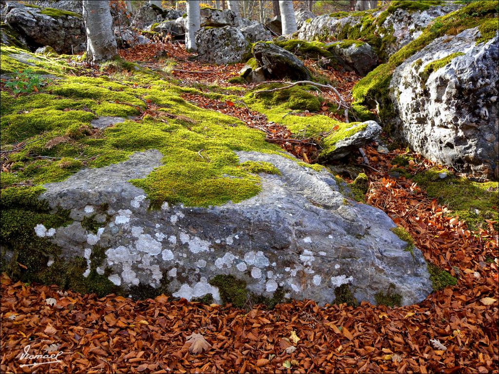 Foto de San Martin de la Virgen de Moncayo (Zaragoza), España