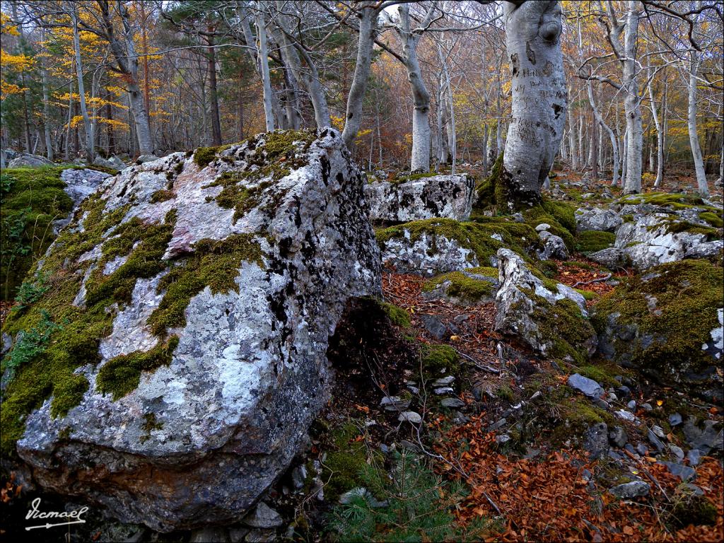Foto de San Martin de la Virgen de Moncayo (Zaragoza), España