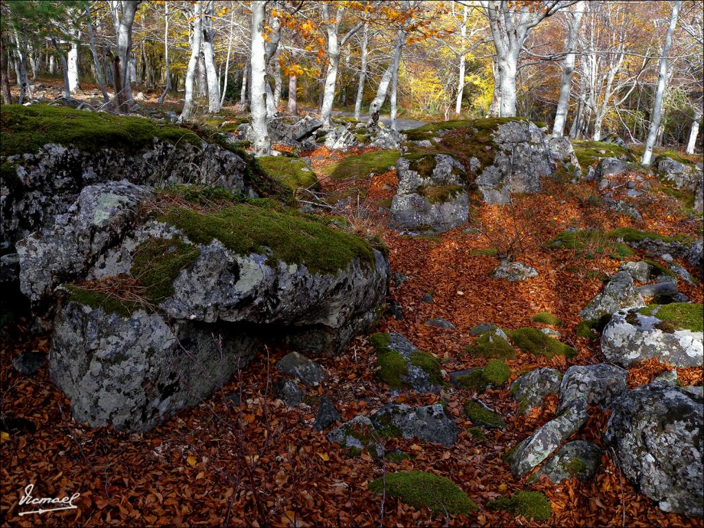 Foto de San Martin de la Virgen de Moncayo (Zaragoza), España