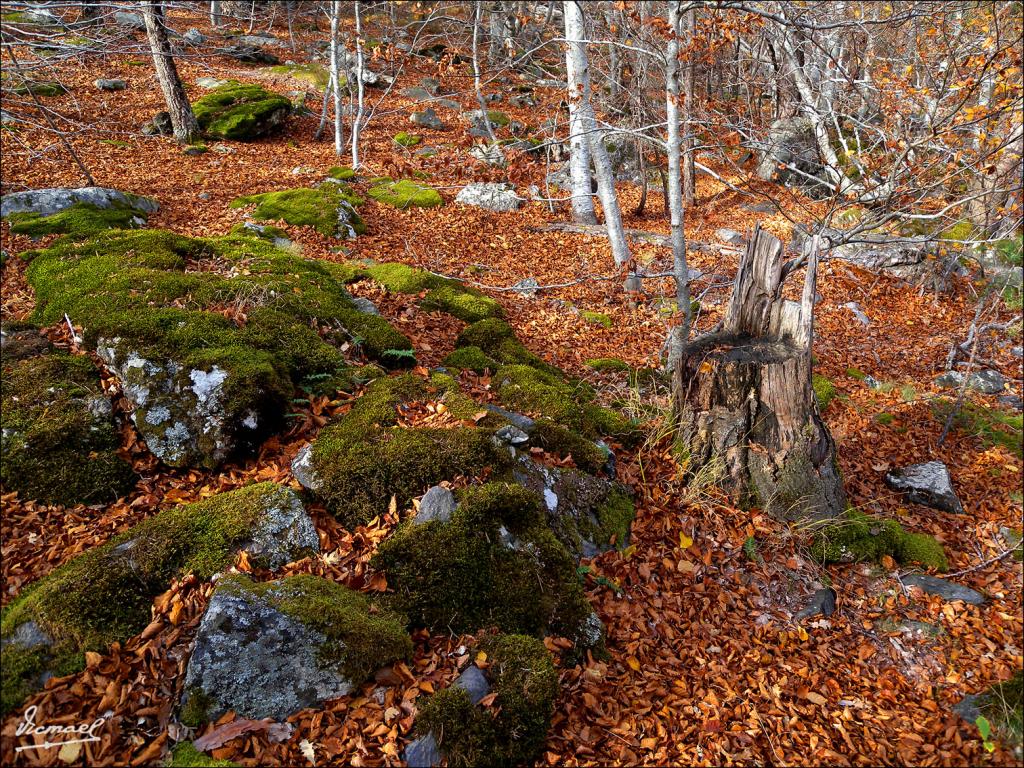 Foto de San Martin de la Virgen de Moncayo (Zaragoza), España