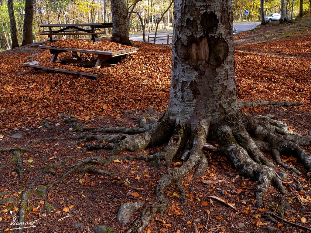 Foto de San Martin de la Virgen de Moncayo (Zaragoza), España