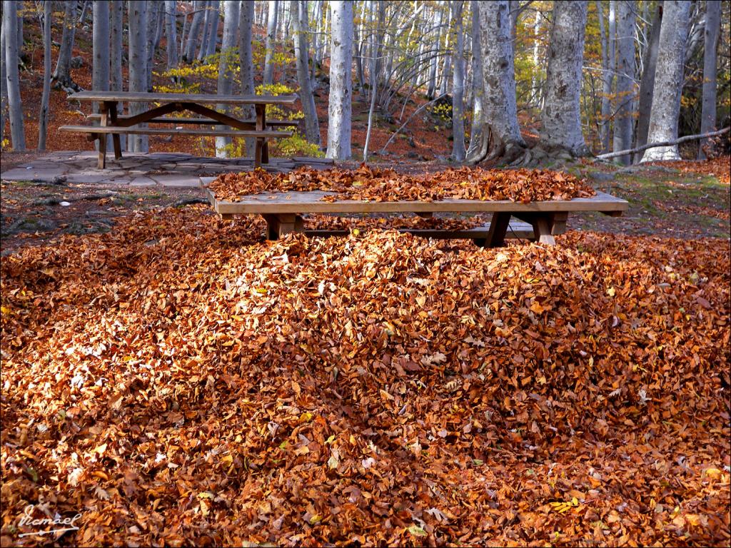 Foto de San Martin de la Virgen de Moncayo (Zaragoza), España