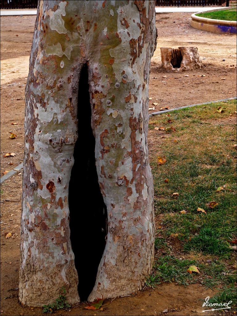 Foto de Zaragoza (Aragón), España