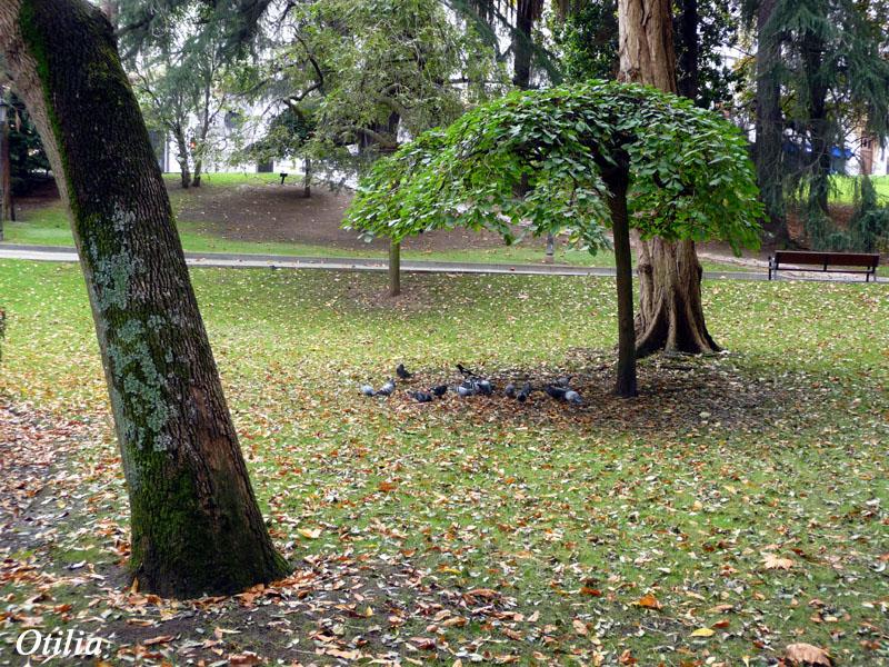 Foto de Oviedo (Asturias), España