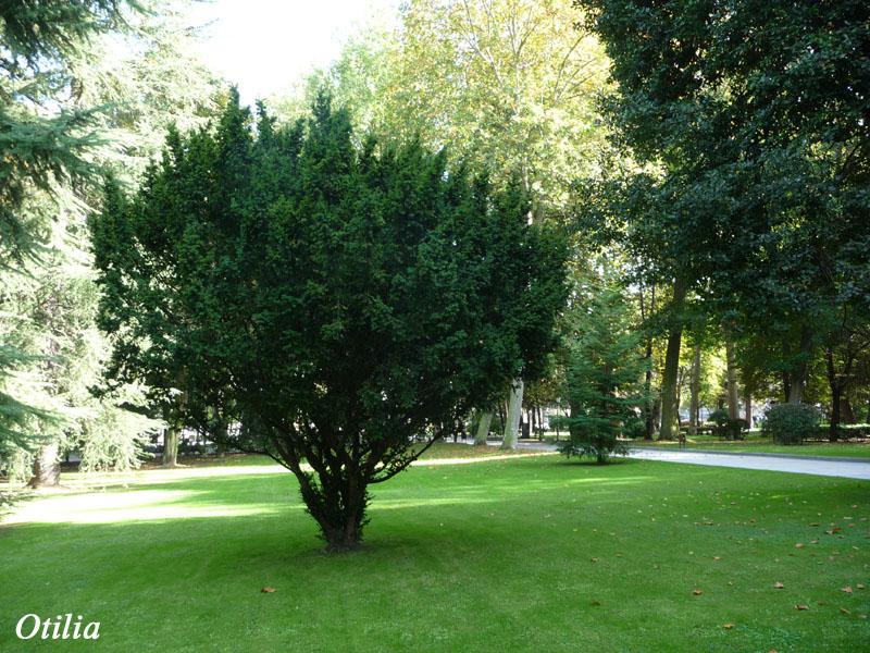 Foto de Oviedo (Asturias), España