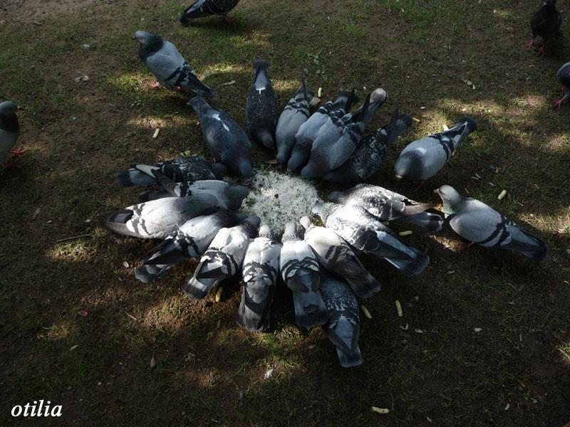 Foto de Oviedo (Asturias), España