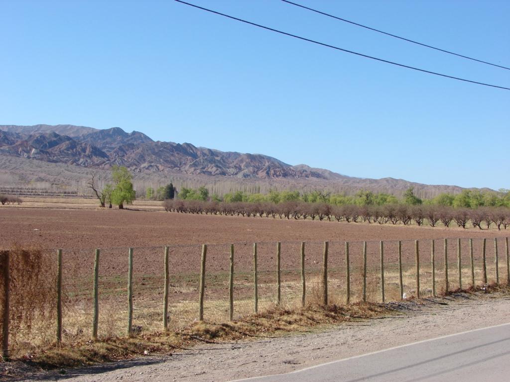 Foto de Barreal (San Juan), Argentina