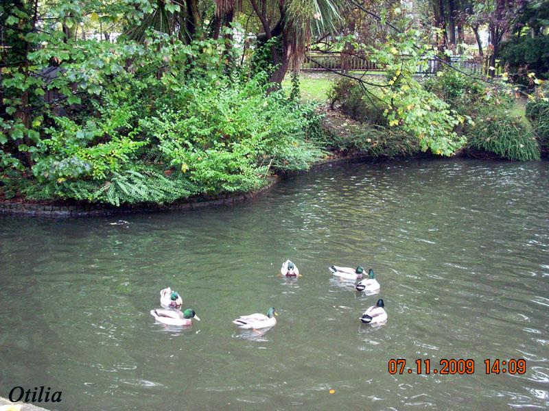 Foto de Oviedo (Asturias), España