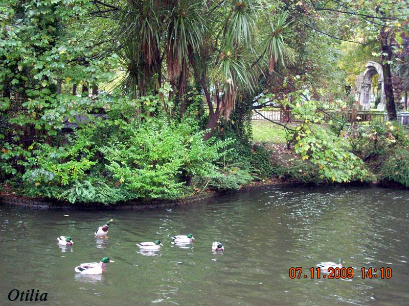 Foto de Oviedo (Asturias), España