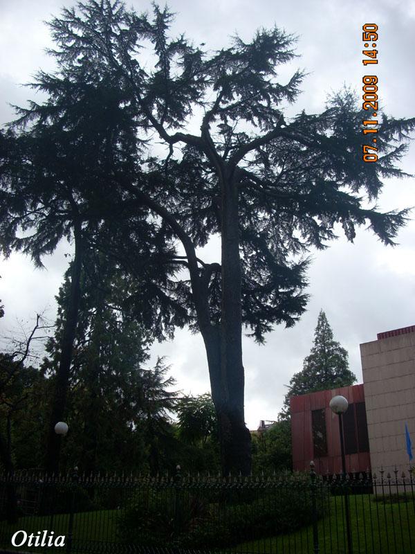 Foto de Oviedo (Asturias), España