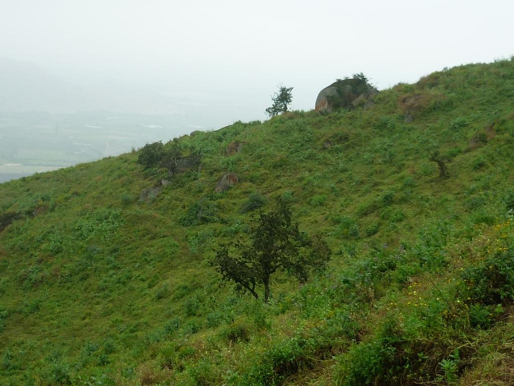 Foto de Huaral, Perú