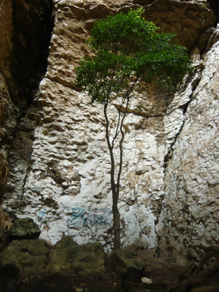 Foto de Tuxtla Gutierrez, México