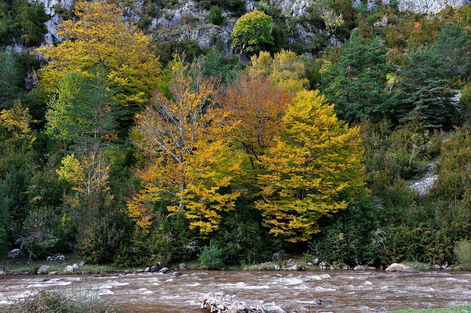 Foto de Hecho (Huesca), España