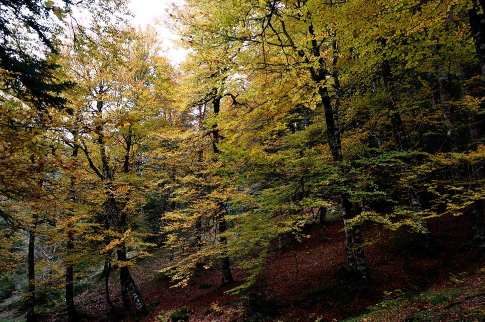Foto de Hecho (Huesca), España