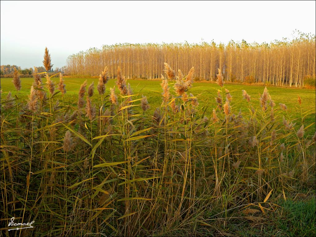 Foto de Zaragoza (Aragón), España