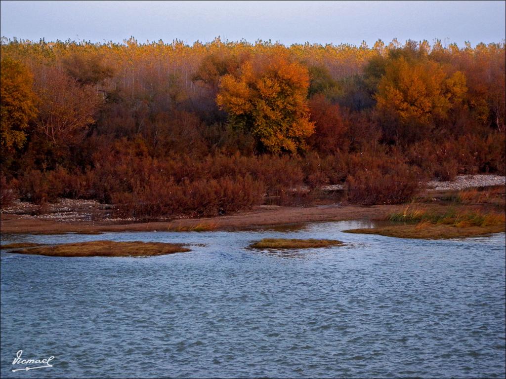 Foto de Zaragoza (Aragón), España