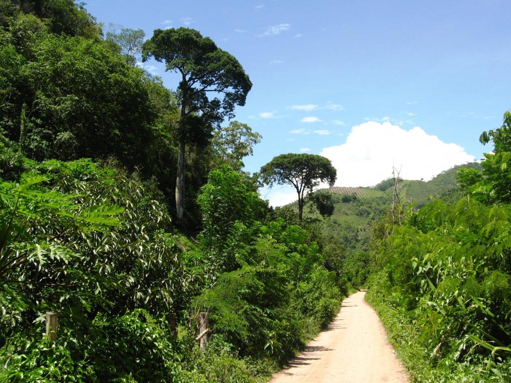 Foto de Chanchamayo, Perú