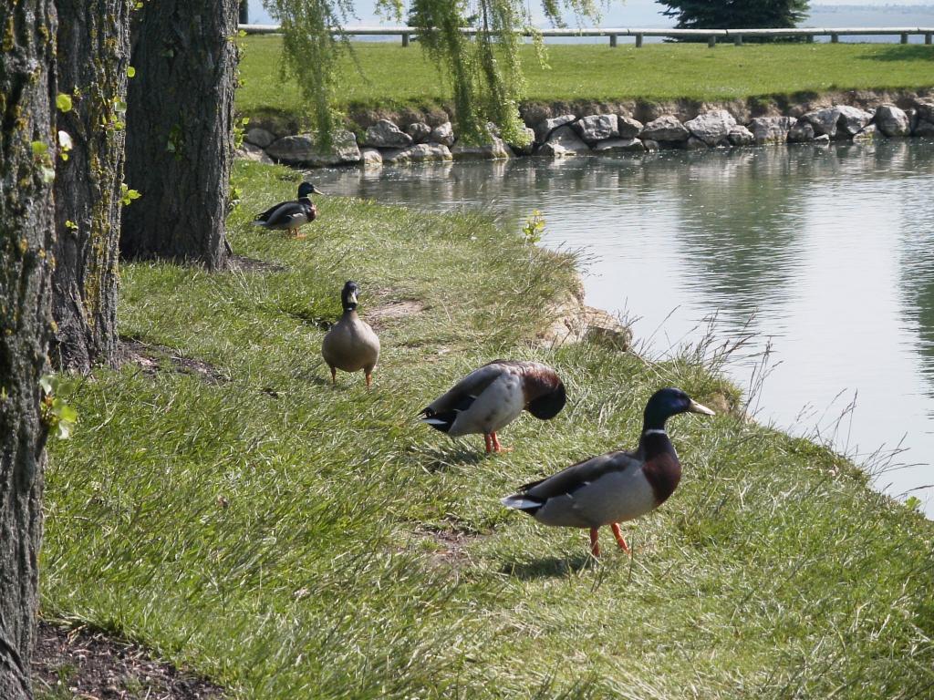Foto de Pamplona (Navarra), España