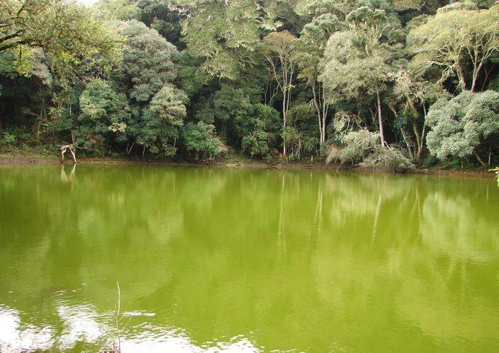 Foto de Comarapa (Laguna Verde), Bolivia
