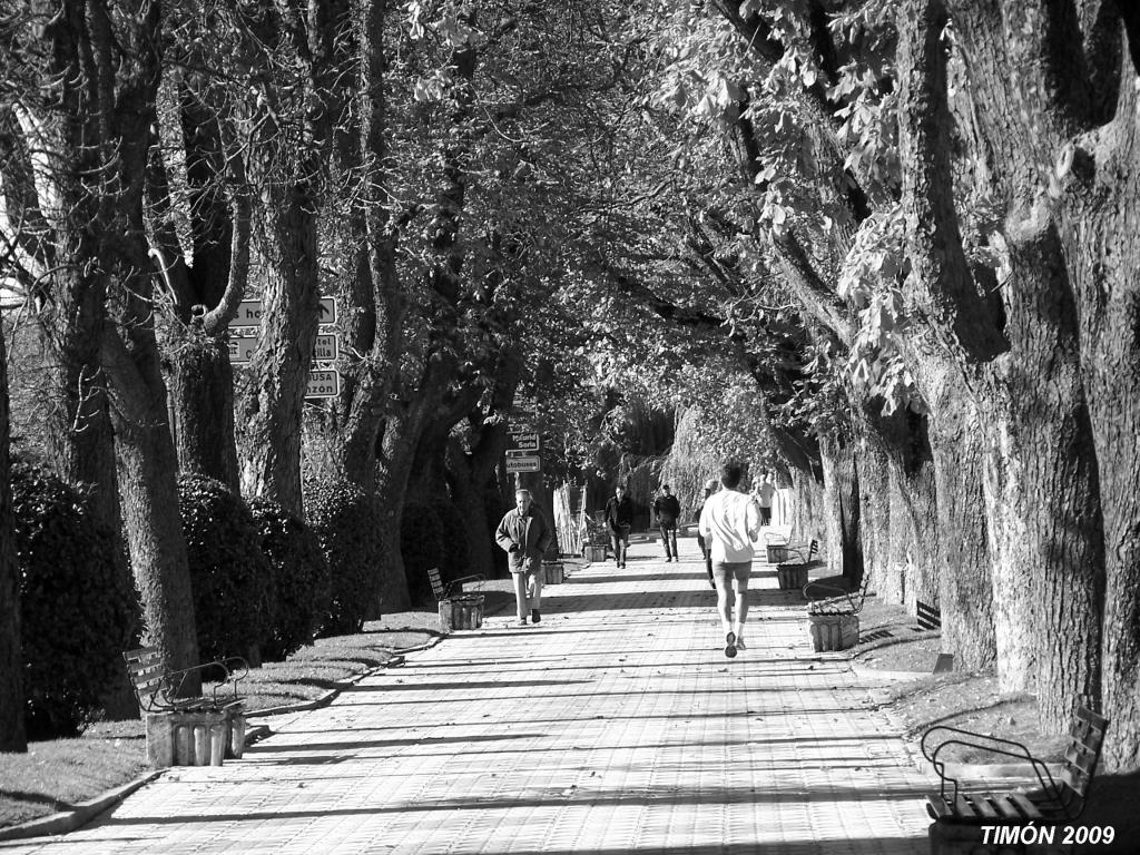 Foto de Burgos (Castilla y León), España