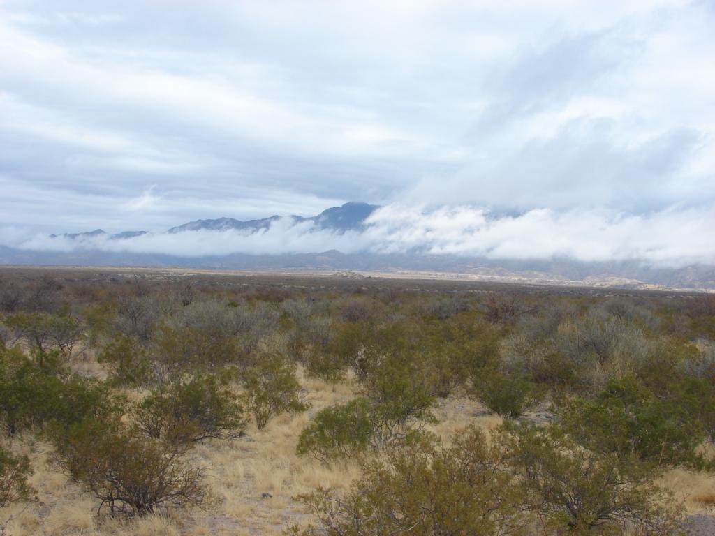 Foto de Chucuma (San Juan), Argentina