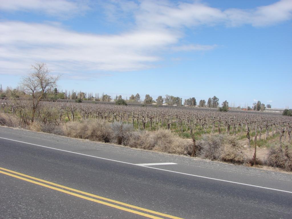 Foto de San Juan, Argentina