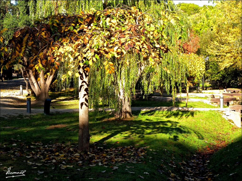 Foto de Zaragoza (Aragón), España