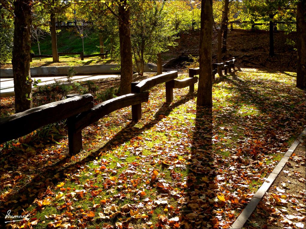 Foto de Zaragoza (Aragón), España
