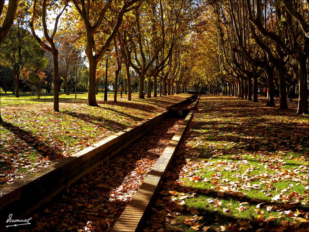 Foto de Zaragoza (Aragón), España