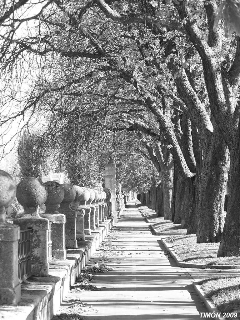 Foto de Burgos (Castilla y León), España